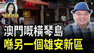 沈四海：澳門嘅橫琴島 喺另一個雄安新區 #信燕訪談