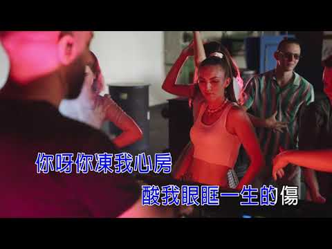 【國語KTV】姚六一 - 隔岸 (DJ Yaha Remix) 「你呀你凍我心房，酸我眼眶一生的傷」 (原聲/伴唱切換)