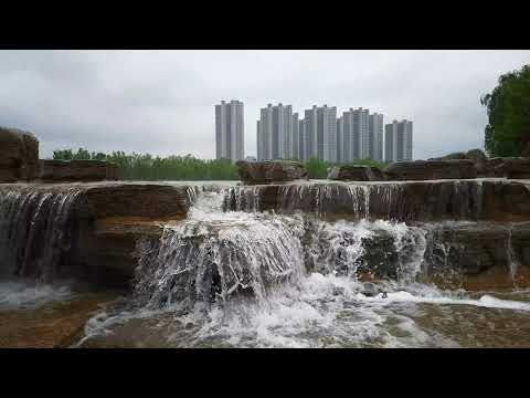 实拍中国真实生活现状，漫步贾鲁河畔，聆听雨声，鸟语花香，郑州春天风景如画