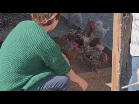 We Bought a Farm, Now What?, S1:E3