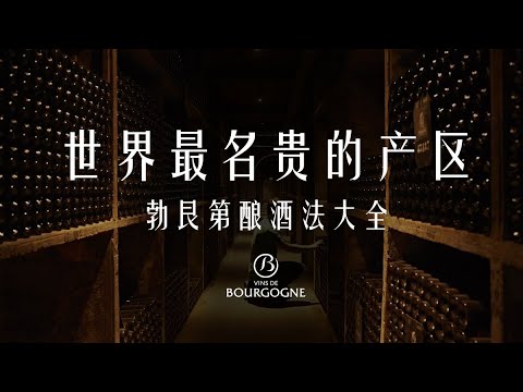 为什么这个产区的酒能单瓶上万：勃艮第酿酒工艺 How to Produce Prestigious Wine: Winemaking in Burgundy