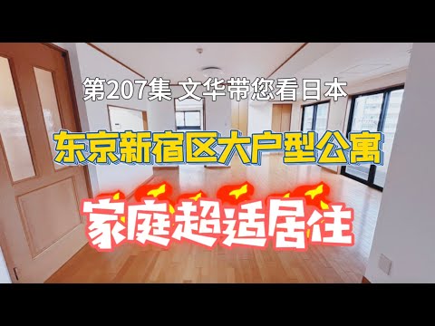 RealEstate不動產-東京新宿大戶型公寓｜適合家庭居住｜超高CP值｜繁華地段 [日本房產] [生活] [留學]#life #japan #tokyo #house #youtube #home