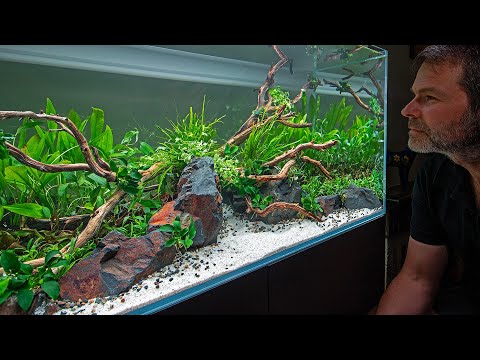 12 HOURS OF AQUASCAPING IN 20 MINUTES - FULL TUTORIAL (4K)