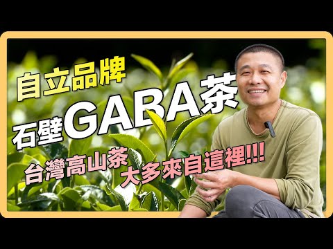 【雲林 古坑】來自群山環繞的GABA茶｜用心的產業｜420｜＃美麗心台灣