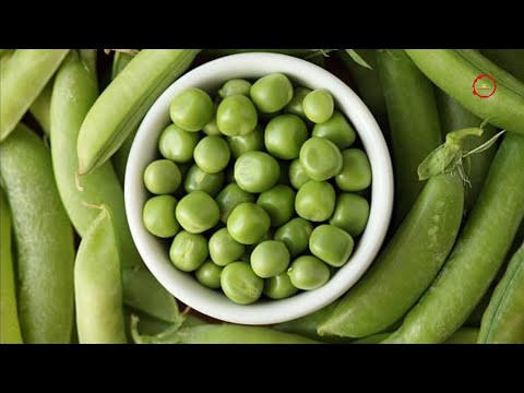 How to prepare canned peas... store it for 1 year! Use fresh without freezing