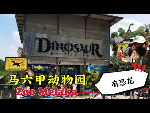 马六甲动物园一日游 。动物园里竟然有恐龙 ！Zoo Melaka & Dinosaur Encounter 2022