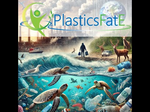 A multidisciplinary perspective on the role of plastic pollution in the tripleplanetary crisis