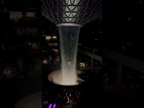 Glimpse of Changi Airport - Singapore #travel #singapore #singaporevlog #singaporevideos