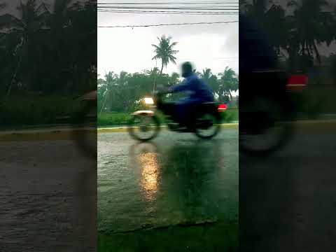 Thank You For The RAIN🙏🙏 #youtube #shortvideo #viral #rain #itwillrain