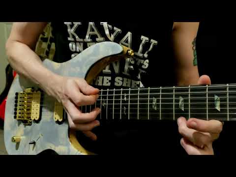 PALADIN - THE RIVER DRAGON HAS COME (GUITAR PLAY THROUGH)