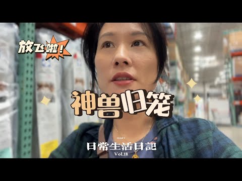 🇨🇦开学第一天，看看全职妈妈都忙些什么？在摆烂的日子里也有在好好生活