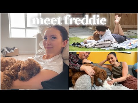 MEET FREDDIE! spend the week with us 🐶🤍 | Hannah Renée