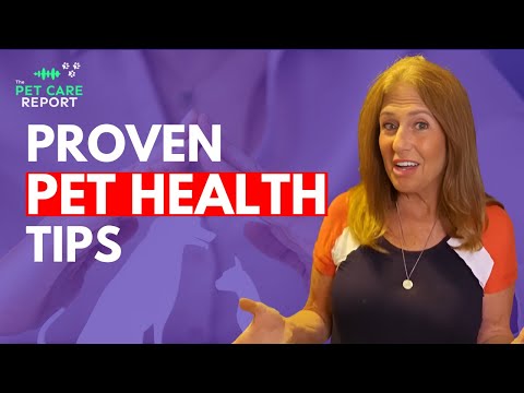 6 Steps to Heal Your Pet: Proven Veterinary Tips for Lasting Health