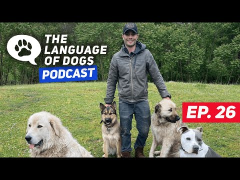 The Language of Dogs Podcast EP.026  "6 WORDS ALL DOGS NEED TO KNOW PART 1 " W/ Justin Silver