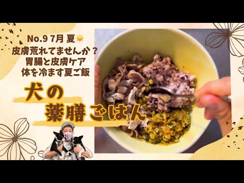 第9回皮膚荒れてませんか？犬の夏ごはん🍚