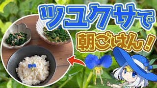 ツユクサで遊んだり、食べたりしてみた！【野草】