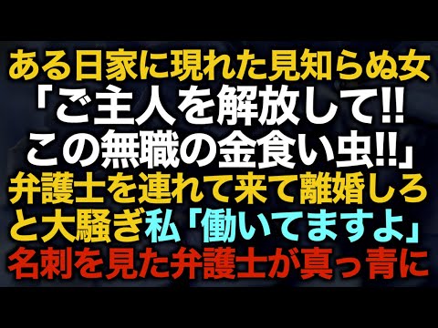 【スカッとする話】ある日家に現れた見知らぬ女「ご主人を解放して！！この無職の金食い虫！！」弁護士を連れて来て離婚しろと大騒ぎ→私「働いてますよ」名刺を見た弁護士が真っ青に【修羅場】