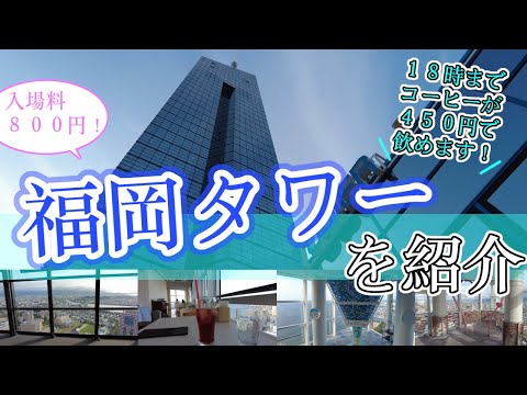 【福岡タワーを紹介】　福岡観光　Japan Fukuoka Tower　일본　후쿠오카　타워　日本　福冈塔