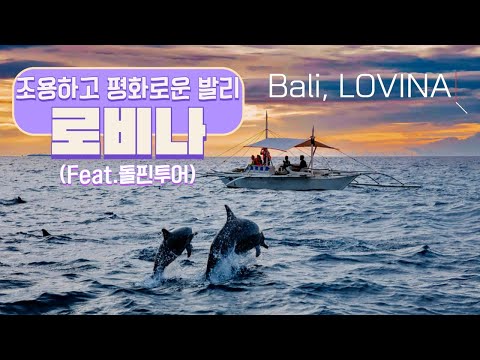 Bali trip? You can swim with dolphins for this price?? (Feat.LOVINA)