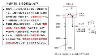 2025 1 11はりきゅう理論11回目