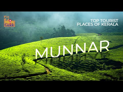 Munnar | Kerala Tourism | MM Travel Guide | Travel Videos |  Munnar Tourist Places