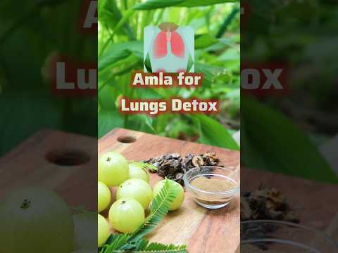 Ep-81 of Vedic Recipes (आंवला/ Amla )💥Lungs detox remedy Ayurveda #amlabenefits #kaphadosha