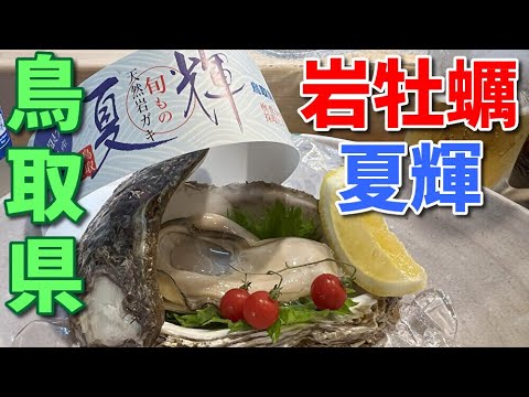 最高に旨い！岩牡蠣・夏輝【鳥取 笹すし】