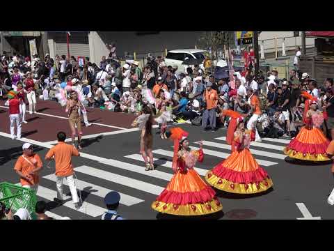 浅草サンバカーニバル2018  フェスタンサ