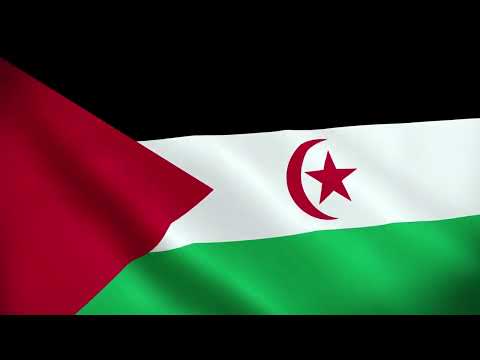 [10 Hours] Western Sahara Flag Waving - Video & Audio - Waving Flags