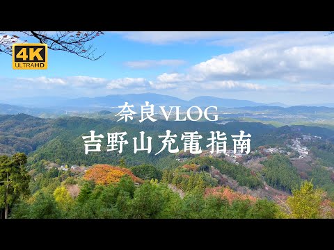 【Yoshinoyama VLOG】 World Heritage Site in the Suburbs of Nara! Immerse in the energy of holy places