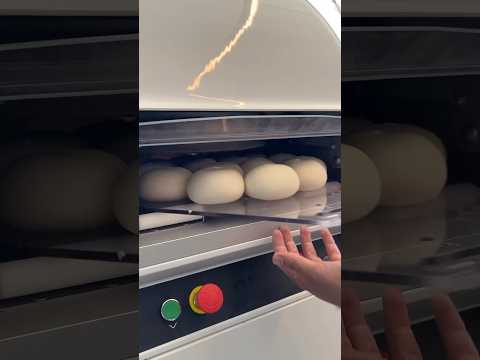 Automatic Dough Rounding Divider 😍🍕