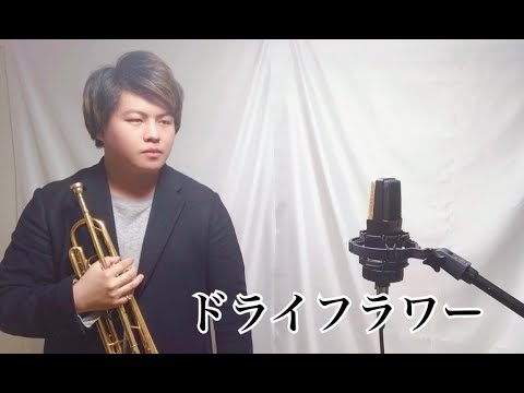 ドライフラワー【トランペットで演奏してみた！】