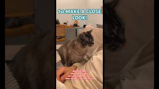 SEE #funny #dougrobbsfunnies #short #shorts #video #feed #videos #youtube #youtuber #animals #animal