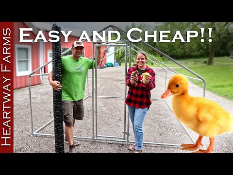 But is it Durable?? CHEAP portable Duck Hut / Chicken Tractor Kit from Amazon!