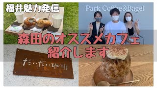 福井魅力発信【森田編】おすすめカフェ☕️紹介します👋