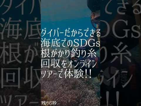 600年必要な釣り糸の自然分解を待たずに回収するダイバー！