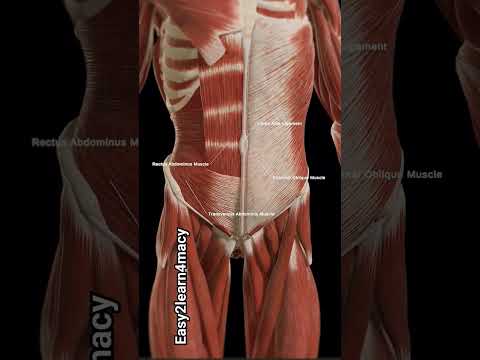 #youtuber #pharmacist #trendingshorts #pharmacy #study #youtube #viral #learningtips #shorts #short