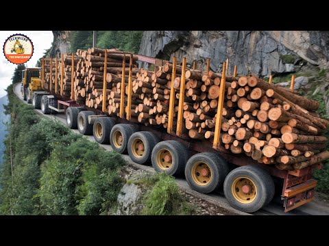 Huge DANGEROUS Wood Logging Trucks | Extreme Heavy Equipment Machines at Work