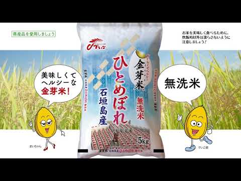 日本一早い　金芽米 石垣島産ひとめぼれ発売