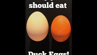 Why You Should Eat Duck Over Chicken Eggs