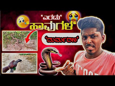 🔥ಹಳ್ಳಿಯಲ್ಲಿ ಇದ್ರೆ ಕಂಟೆಂಟ್ ಗೆ ಕೊರತೆ ಇಲ್ಲ ‼️my village vlog #mysore #villagelife  #kannada