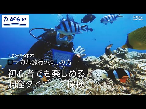 【沖縄旅行】 青の洞窟で水中撮影！貸切ガイドで行くダイビング