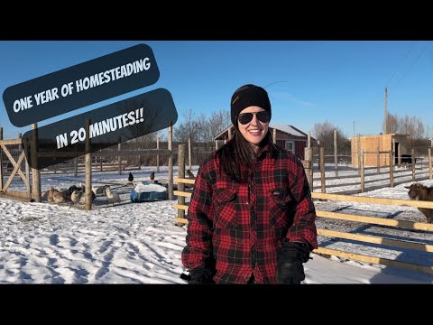 One Year Of Homesteading In 20 Minutes!