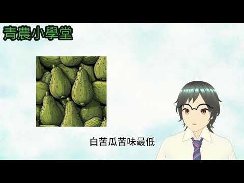 青農小學堂-苦瓜篇