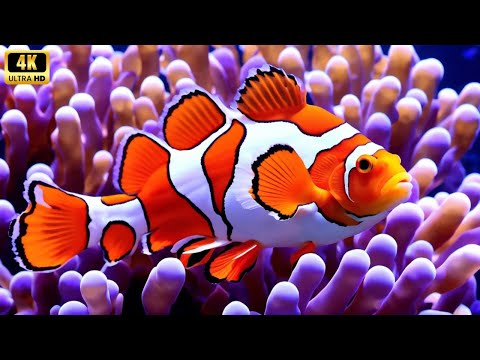 Marvel at Sea Animal in The Best 4K ULTRA HD Aquarium -Dive Into The Mesmerizing Underwater Realm #2