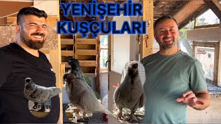 YENİŞEHİRLİ BURAK AKDENİZ KÜMESLERİ HÜNKARİ VE KELEBEKLER