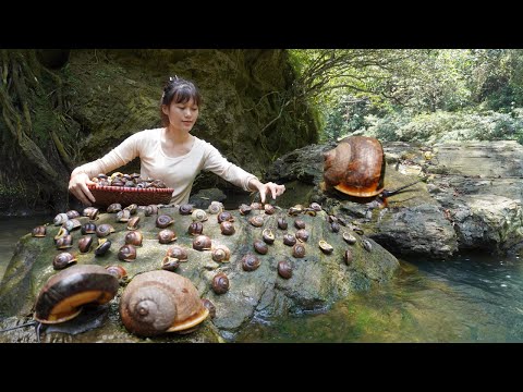 Harvesting snails in the forest - Sell snails in the village and cook - Duong bushcraft