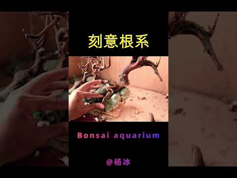 Aquatic Artistry: Learn How to Craft a Bonsai Underwater Wonderland! | Pondon Aquarium