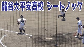 【夏の高校野球2024/京都大会】龍谷大平安高校 シートノック【現地映像】2024/7/26