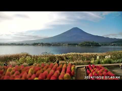 2024年10月22日　大石公園　紅葉　富士山ライブカメラ